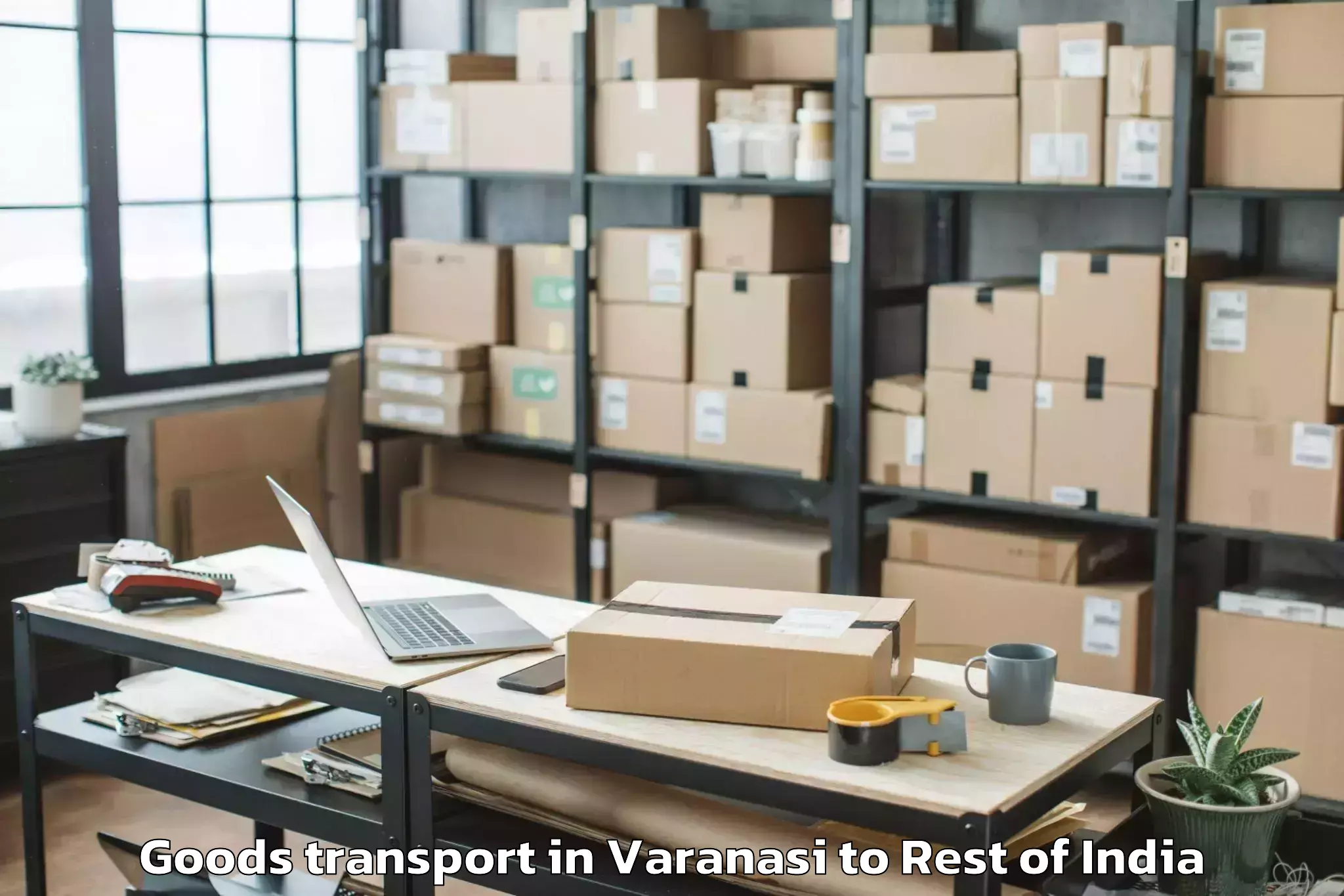 Professional Varanasi to Dhumakot Goods Transport